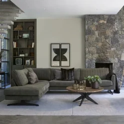 Hoekbank Links The Camille, Pacific Turtle