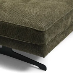 Hoekbank Links The Camille, Pacific Turtle