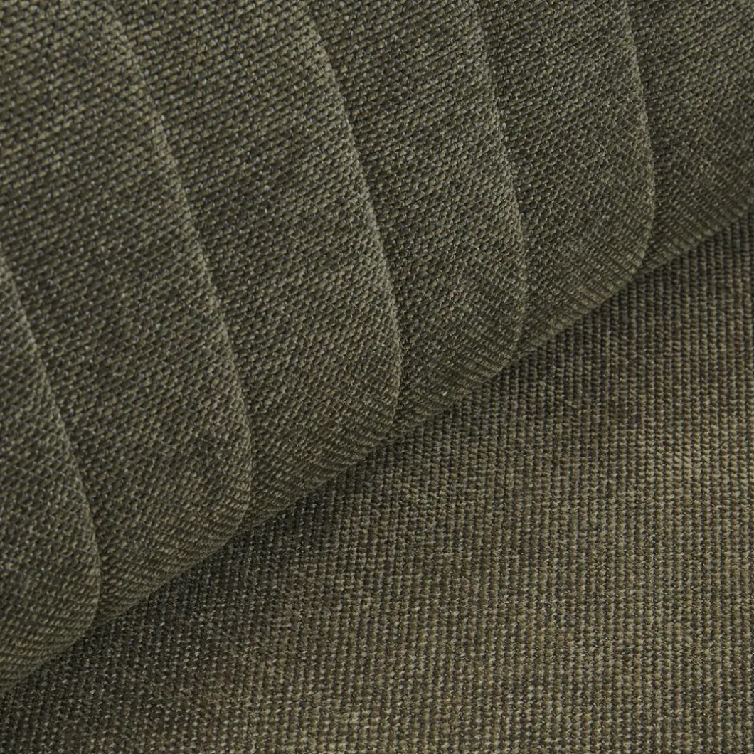 Hoekbank Links The Camille, Pacific Turtle