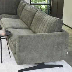 Hoekbank Links The Camille, Pacific Turtle