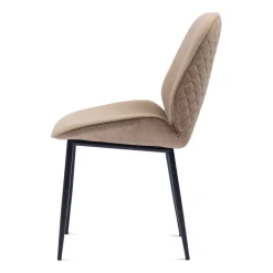 Mr. Beekman DC Truffle