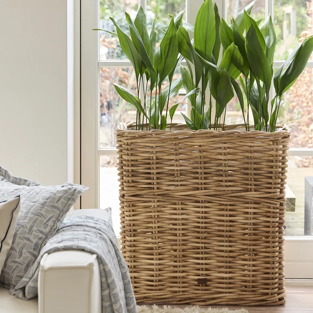 Plantenbak Fiuggo 90x37x90CM