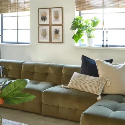 The Jones Center Soft Jade