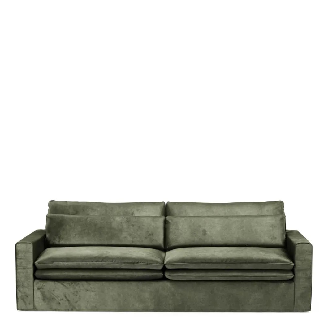 3,5-zitsbank Continental, Ivy